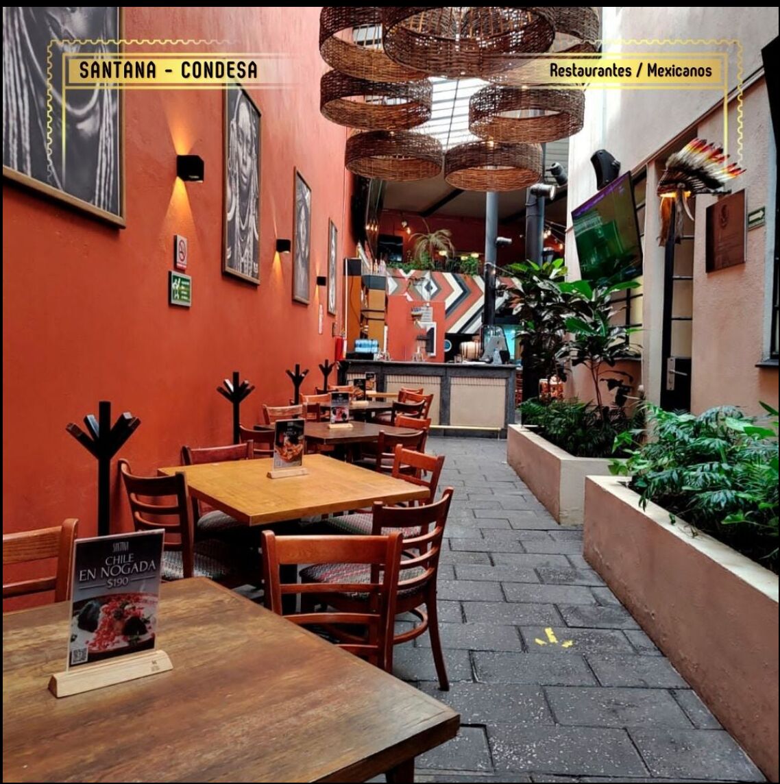 Santana Restaurante Bar and Flow Condesa: Gastronomy, Nightlife, and Rest in the Heart of the City