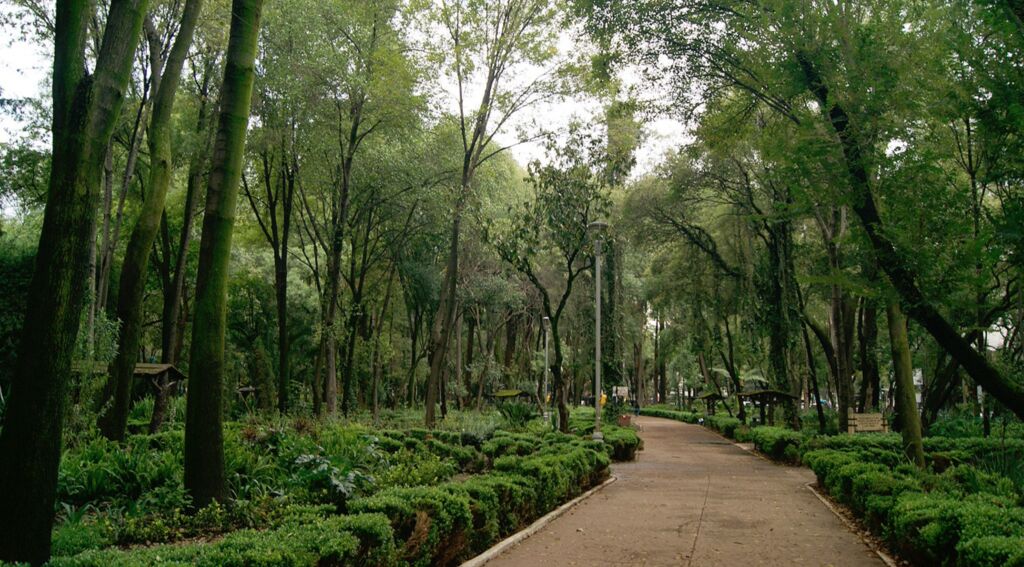 Descubriendo la Ciudad de México desde el corazón de la Condesa: Encuentra Hotel cerca de la Condesa