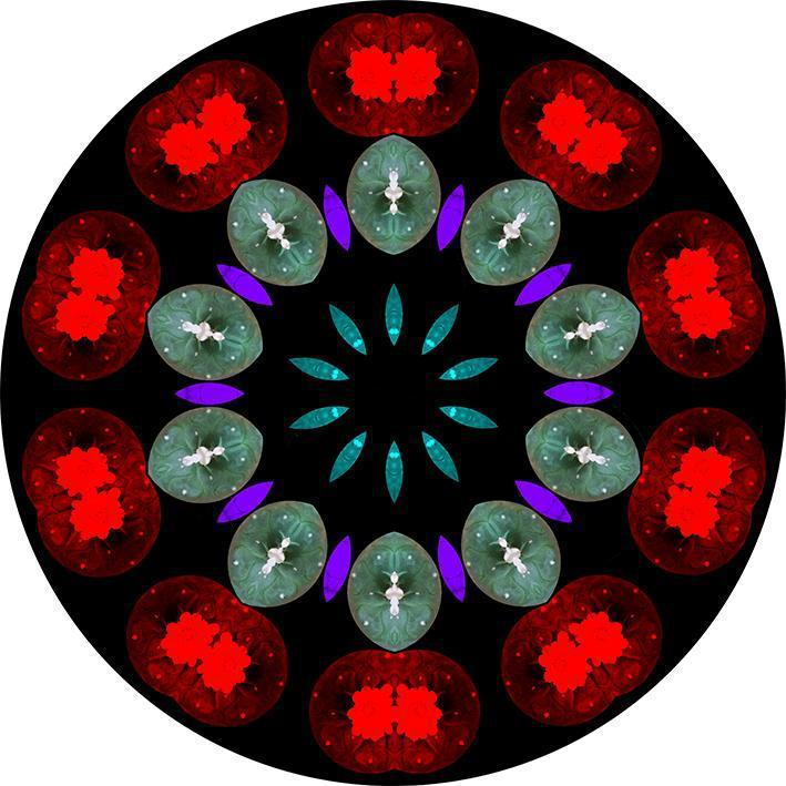 JJ Martin Mandalas 10