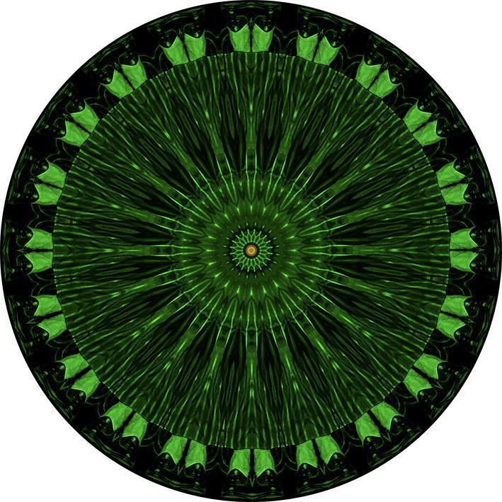 JJ Martin Mandalas 2