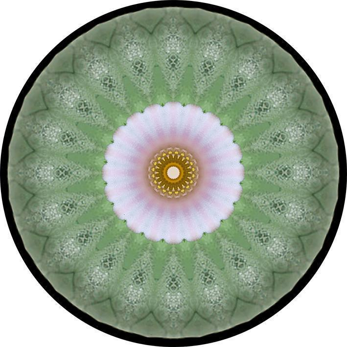 JJ Martin Mandalas 4