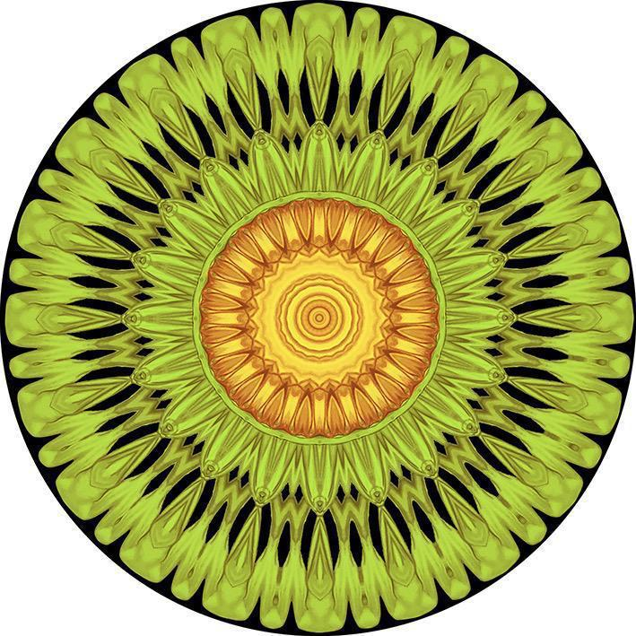 JJ Martin Mandalas 6