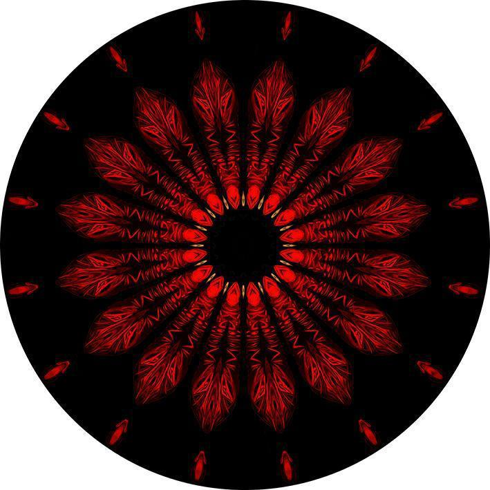 JJ Martin Mandalas 7