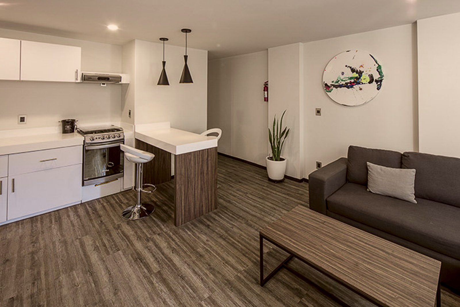 Executive Suite